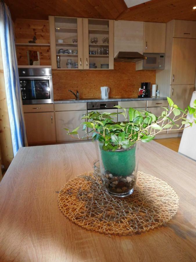 Apartment Aschaber Waidring Εξωτερικό φωτογραφία